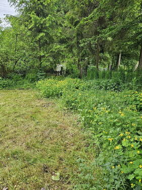 Bild 27 - 