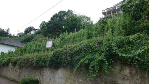 Straßenansicht - Grundstück in Alf zum Kaufen