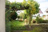 Blick min den Garten - 