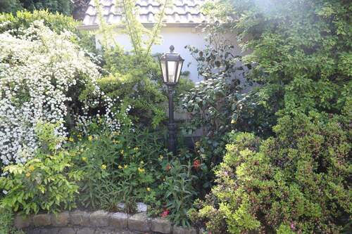 Garten hinten - 