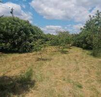 14 km von Kaposvár entfert, breite Straßenfront, Versorgungseinrichtungen in der Straße, ruhige Lage, Sackgasse - Kaposvár / Magyaratád