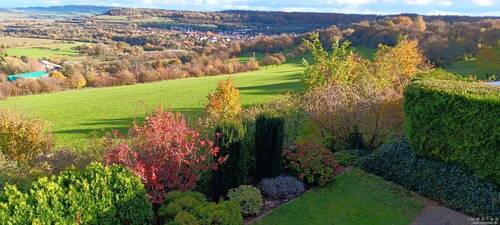 Garten - Mehrfamilienhaus, Wohnhaus mit 179,00 m&sup2; in Blieskastel / Biesingen zum Kaufen