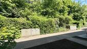 Grün vor dem Haus - 