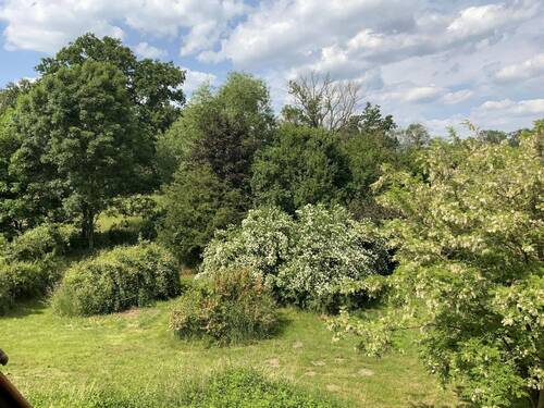 Gartenansicht vom Dachgeschoss - 