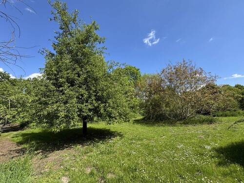Gartenansicht - 