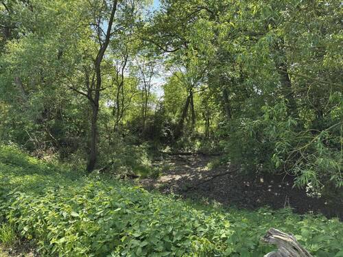 Burggraben (2026) - 