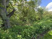 Burggraben (2026) - 