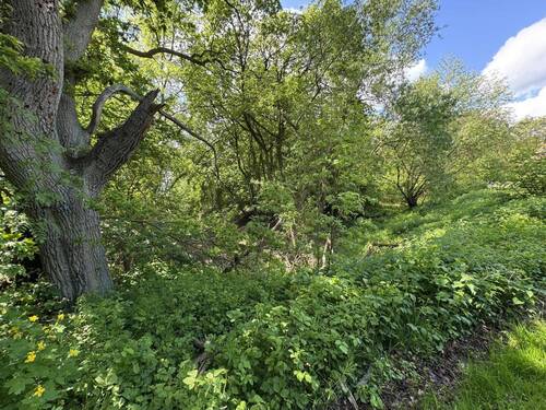 Burggraben (2026) - 