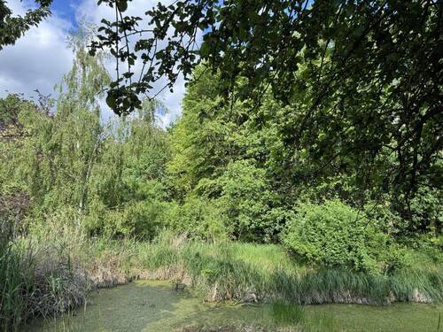 Gartenansicht - 