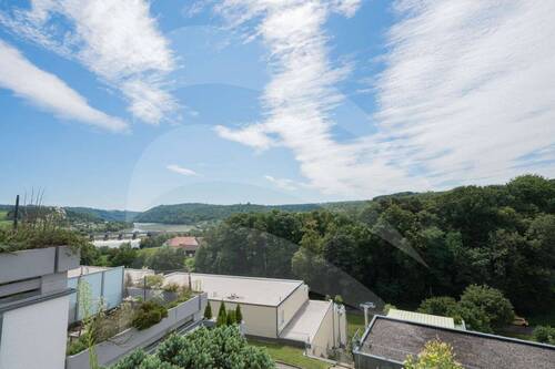 Ausblick - 