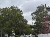 Umgebung - 3 Zimmer Etagenwohnung in Karlsruhe-Ost