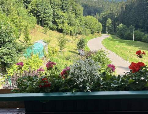 Vom Balkon - Garten und Wiesen - 