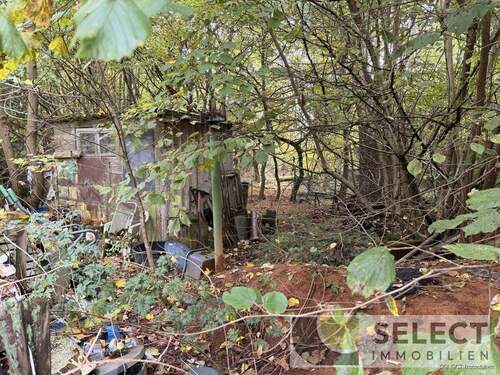 Garten - 