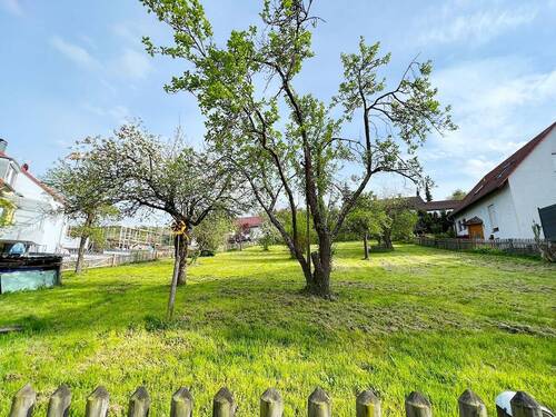 Blick auf Bauplatz - Eine Freude für die junge Familie: 'Wohnen mit herrlichem Sonnengarten' Moderne DHH in Ostelsheim