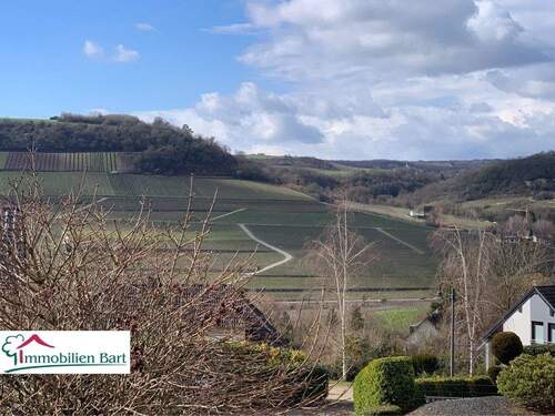Ausblick - NITTEL: WOHNHAUS MIT KELLER + PHOTOVOLTAIK AM ORTSRAND!