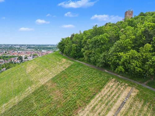 Umgebung - 