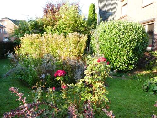 Garten - 
