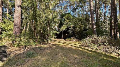 Zufahrt - 1 Zimmer Mehrfamilienhaus, Wohnhaus zum Kaufen in Wienhausen