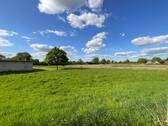 Ausblick - 