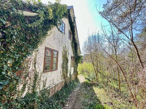 Außenansicht - 7 Zimmer Mehrfamilienhaus, Wohnhaus zum Kaufen in Felde