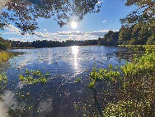 Ansicht See - Grundstück im Wochenendgebiet Würmsee! (MA-1020-44)