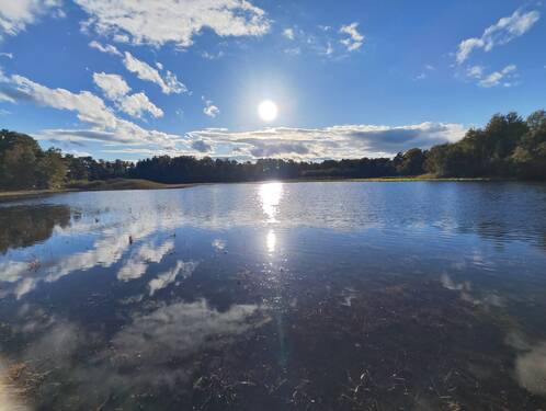 Ansicht See - Grundstück zum Kaufen in Burgwedel