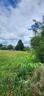 SCHÖNES GARTENGRUNDSTÜCK MIT NATURIDYLL - 6 Zimmer Einfamilienhaus zum Kaufen in Weiskirchen