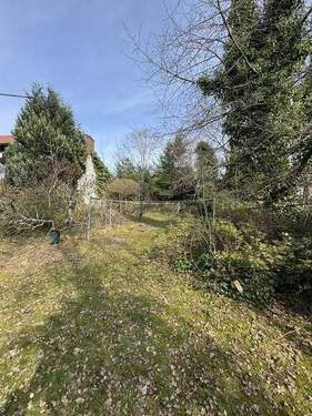 00001 - Beste Wohnlage - ruhig mitten im Wald und doch Großstadtnah - hier kann man sich ein Heim bauen!