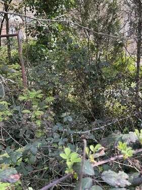 00002 - Grundstück zum Kaufen in Kaiserslautern