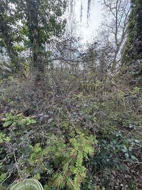 00003 - Grundstück in Kaiserslautern