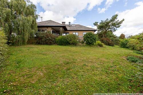 Blick von der Wiese - 