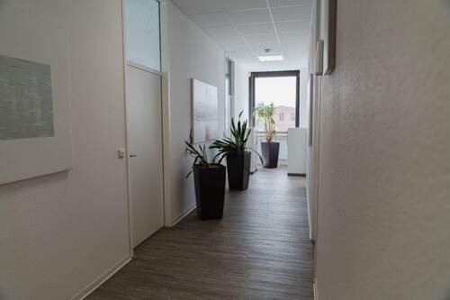 Bild 11 - 