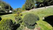 Garten - 4 Zimmer Einfamilienhaus zum Kaufen in Freital