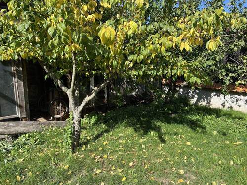Garten - 