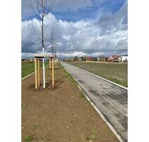 Baugrundstück für Gewerbe in Perfekter Lage - Altdorf bei Nürnberg