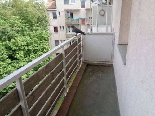 Balkon - 
