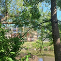 Blick auf Haus B - 