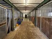 Boxen - 