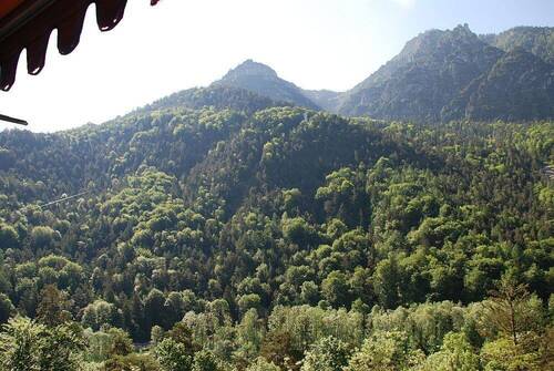 fewoschro321balbli1 .jpg - 