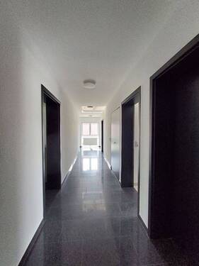 20250409_135223.jpg - 