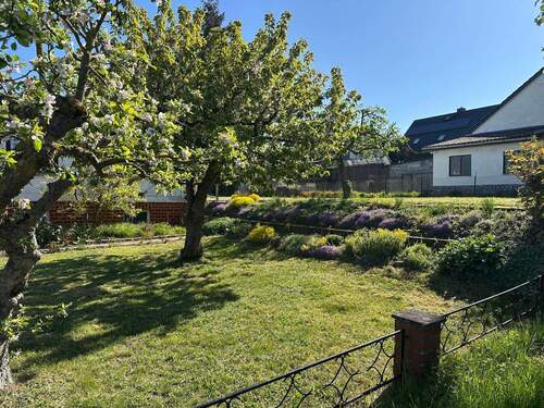 Blick auf Grundstück und Nebengebäude - 