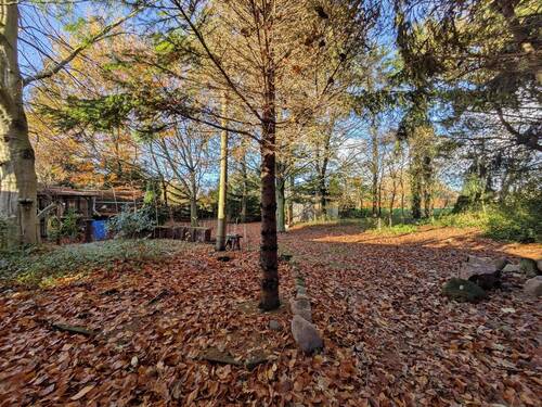 Grundstücksbereich - 