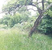 Großes Baugrundstück in Gunzenhausen-Frickenfelden zu verkaufen