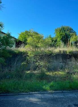 IMG_7952 - Grundstück in Gunzenhausen-Frickenfelden