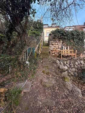 Garten_Straßenseite1.jpg - 