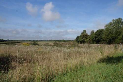 Aussicht.JPG - Grundstück zum Kaufen in Steinach