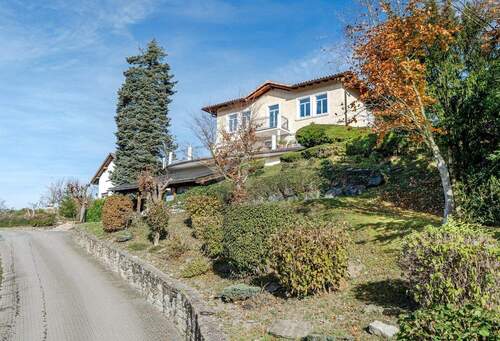 Gepflasterte Einfahrt - 