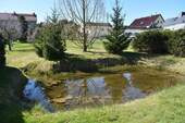 Teich - 