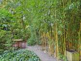 Garten (3) - 