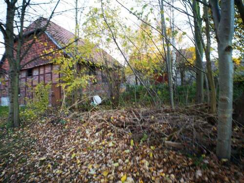 Bild 12 - 
